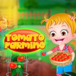 Cultivo De Tomate De Avelã Para Bebés